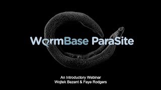 An Introduction to WormBase ParaSite Resources [upl. by Ahsitra551]