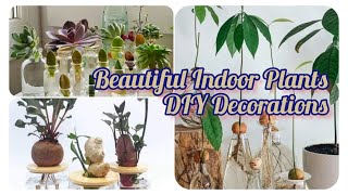 Stunning DIY Indoor Plants Must Have to Infuse Your Home with the Beauty of Nature  Cute Home Decor [upl. by Jarred447]