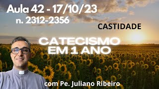 Catecismo em 1 ano  Aula 42 171023 [upl. by Ecnerual797]