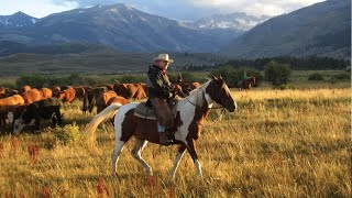 Top 5 Montana Vacation Ranches [upl. by Pravit]