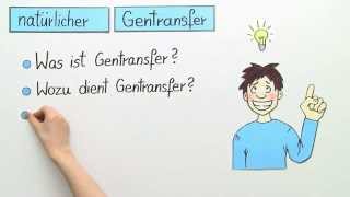 Der natürliche Gentransfer  Biologie  Genetik [upl. by Lower139]