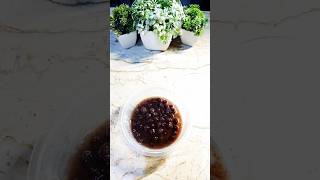 Make Delicious BOBA at Home in 2024🧋Tapioca Pearls shorts viralshort explore coffee [upl. by Ellenyl]