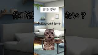 【どっち？ 】運動と食事管理と、痩せるのは？猫ミーム ダイエット方法 [upl. by Kaplan371]