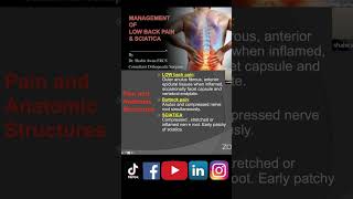 Management  Low back pain amp Sciatica  Part 35 [upl. by Naesar]