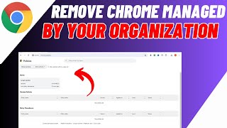 How To Remove Chrome Managed By Your Organization 2024  4 Fixes Managed By Organization Windows [upl. by Ecirtael]