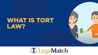 What is Tort Law [upl. by Acinorav713]