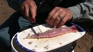 How to Cut Bait for Catfish  Two Ways to Cut and Hook your Bait  Thundermist Quick Fishing Tip [upl. by Mandel572]