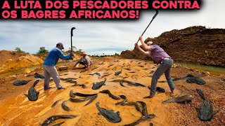 A TERRÍVEL INFESTAÇÃO DE BAGRES AFRICANOS NO BRASIL PREOCUPA PESCADORES [upl. by Deanna]