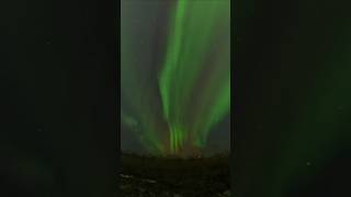 Wait for it northern lights hunting finland insta360x4 auroraborealis northernlights night [upl. by Lukey655]