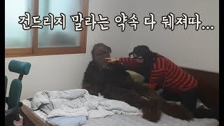 ENG 61탄 엄마 몰래 스타워즈 츄바카로 인형되어 반응보기 [upl. by Denae]