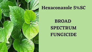 Hexaconazole 5SCBroad Spectrum Systemic Fungicide [upl. by Means]