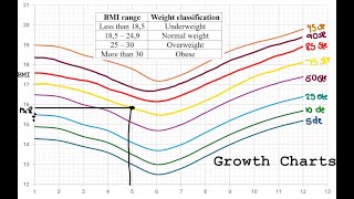 BMI and growth charts Gr11amp 12 Maths Lit [upl. by Ursa]