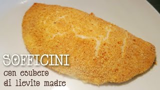 SOFFICINI con esubero di lievito madre [upl. by Einnor400]