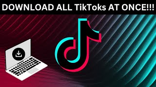 How to download all your TikTok videos at once  NO WATERMARK STEP BY STEP FREE [upl. by Eirol]