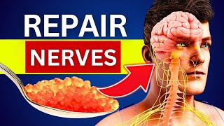 10 Foods That Can Miraculously Heal Nerve Damage [upl. by Htrowslle]