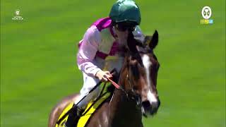 Every race from Lexus Melbourne Cup Day [upl. by Norvol]