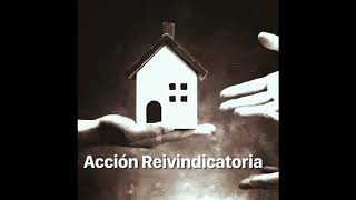 LA ACCIÓN REAL REIVINDICATORIA Y SUS ELEMENTOS [upl. by Haldis513]