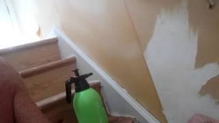 How To Remove Wallpaper With Chomp Madison Ct [upl. by Enomis]