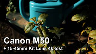 Canon M50  1545mm Kit Lens Cinematic Video Test 4K 2024 [upl. by Blackington536]