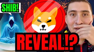 SHIBA INU COIN  SHYTOSHI SPEAKS OUT But WHO IS IT [upl. by Okimuk]