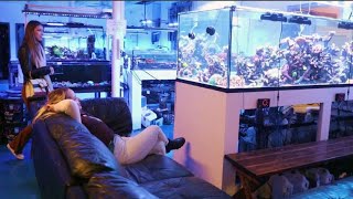 One Of USAs Best Saltwater Aquarium Stores A Reef Creation ARC [upl. by Roselin]