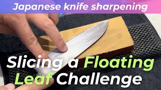 Slicing a Floating Leaf Challenge TOJIRO PRO SANTOKU 170mm VG10 amp Natural Whetstone Shobutani [upl. by Aihgn446]