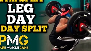 6 Day Gym Split Leg Day  Hamstrings Quads amp Calves [upl. by Clift733]