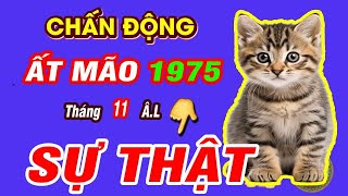 🔴GẶP MAY BẤT NGỜ Đúng Tháng 11 Âm GÁNH LỘC ẤT MÃO 1975 TRÚNG SỐ HẾT KHỔ ĐỔI ĐỜI CỰC GIÀU [upl. by Weinman]