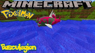 HOW TO FIND BASCULEGION IN PIXELMON REFORGED  MINECRAFT GUIDE [upl. by Drusilla]