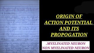 ORIGIN OF ACTION POTENTIAL AND ITS PROPOGATION IN MYELINATED AND NON MYELINATED NERVE FIBRE IN HINDI [upl. by Nonac810]