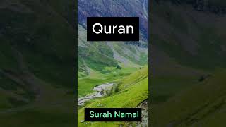 Quran Surah Namal  Ayat Urdu Translation 📖✨ [upl. by Wooster]