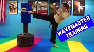 TKD Wavemaster Training [upl. by Eelano]