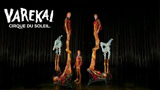 Multiangle Performance Icarian Games  Varekai by Cirque du Soleil [upl. by Atiuqes20]