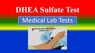 DHEA Sulfate Test  Medical Lab Tests  What is   Uses  Need  Preparation  Results [upl. by Tallbot]