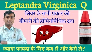 Leptandra Virginica Homoeopathic medicine for liverLeptandraQ usesdrkailashprasad [upl. by Hakeem81]