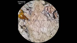 Hornblende tutorial Optical mineralogy [upl. by Fletcher]