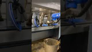 Automatic Robotic Rotary Milking Parlour shorts cow farming technology automobile ai viral [upl. by Ursel929]