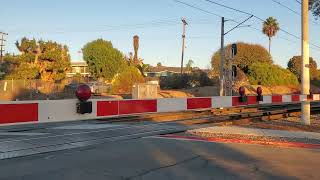 e park ave railroad crossing san ysidro ca san diego trolley siemens s700 [upl. by Dunkin]