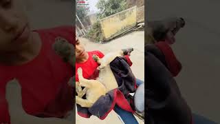 Again Rabbies infected Dog😱😱shorts trending minivlog doglover viralvideo [upl. by Lait]