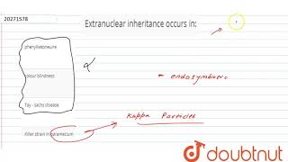 Extranuclear inheritance occours in [upl. by Palocz536]