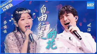 《自由行走的花》完整版：周深萨顶顶 上冲云“顶” 下入“深”海 真是无可替代！全网高赞的神仙打架现场 《王牌对王牌5》王牌对王牌official [upl. by Neenahs]