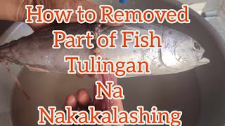 How To Removed Part of Fish Tulingan Poisonous [upl. by Karlise]