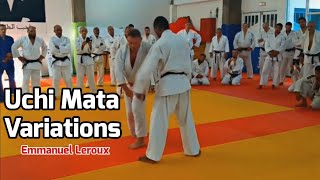 best UCHI MATA Variations  emmanuel LEROUX [upl. by Stout]