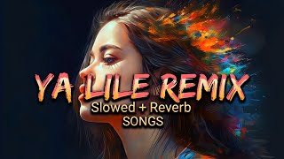 Ya Lile Remix Amr Mlih  Balti Ya Lili  Slowed Reverb Songs  Danish Rock Music [upl. by Airotcivairam]