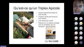 Comment multiplier son cheptel avec les triplex [upl. by Suixela746]