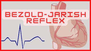 Bezold Jarisch Reflex Explained with Mechanisms [upl. by Flory]