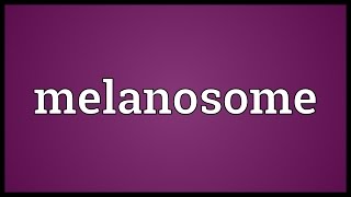 Melanosome Meaning [upl. by Mauretta840]