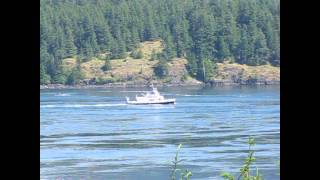 Nimpkish ferry at Campbell River [upl. by Lehcnom]