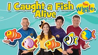 12345 Once I Caught A Fish Alive 🐠 Kids Counting Songs 🔢 Nursery Rhymes 🎵 The Wiggles [upl. by Anayit]