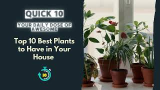 Top 10 House Plants for Every Type of Person [upl. by Aramo]